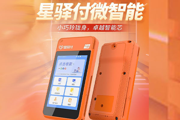 洛宁国通微电签POS机